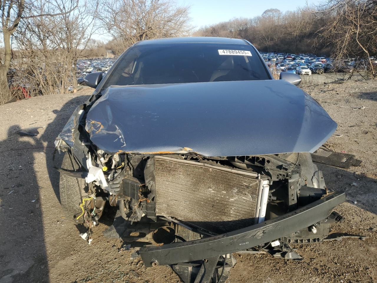 2017 Hyundai Elantra VIN KMHD84LF6HU151880 Copart auction photo, front end damage thumbnail 5