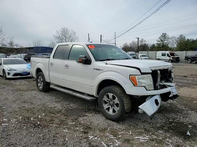 2010 Ford F-150 VIN 1FTFW1EV9AFC11831 Copart auction photo, front end / side damage thumbnail 10