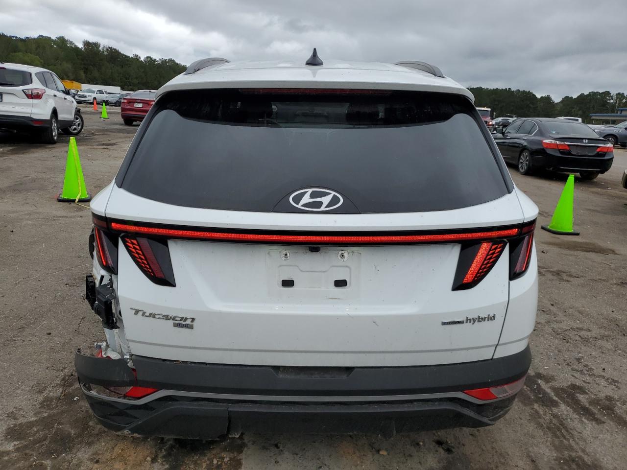 2023 Hyundai Tucson VIN KM8JBCA12PU116855 Copart auction photo, side / rear end damage thumbnail 6
