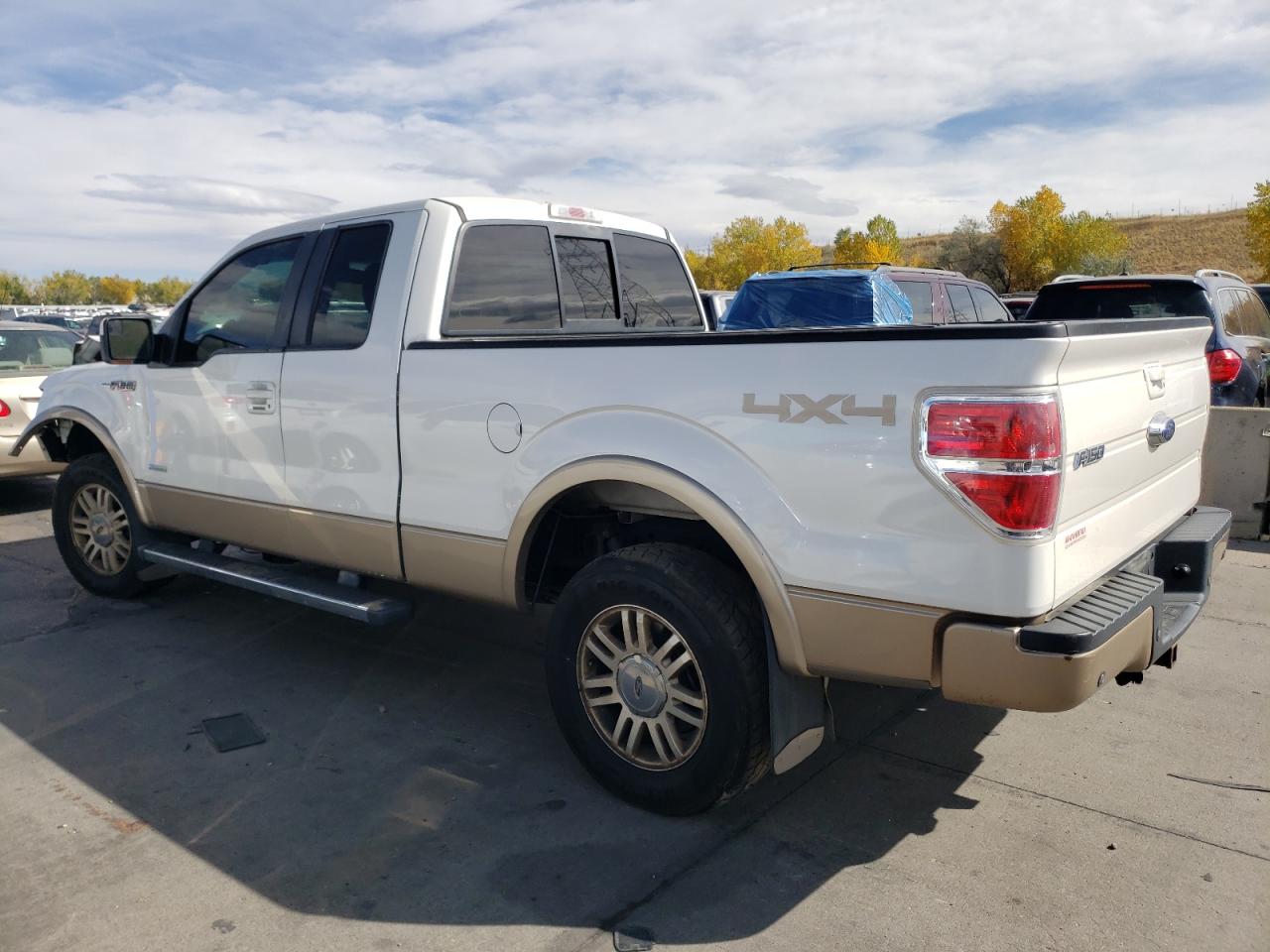2013 Ford F-150 VIN 1FTFX1ET0DFB10077 Copart auction photo, front end / hail damage thumbnail 2