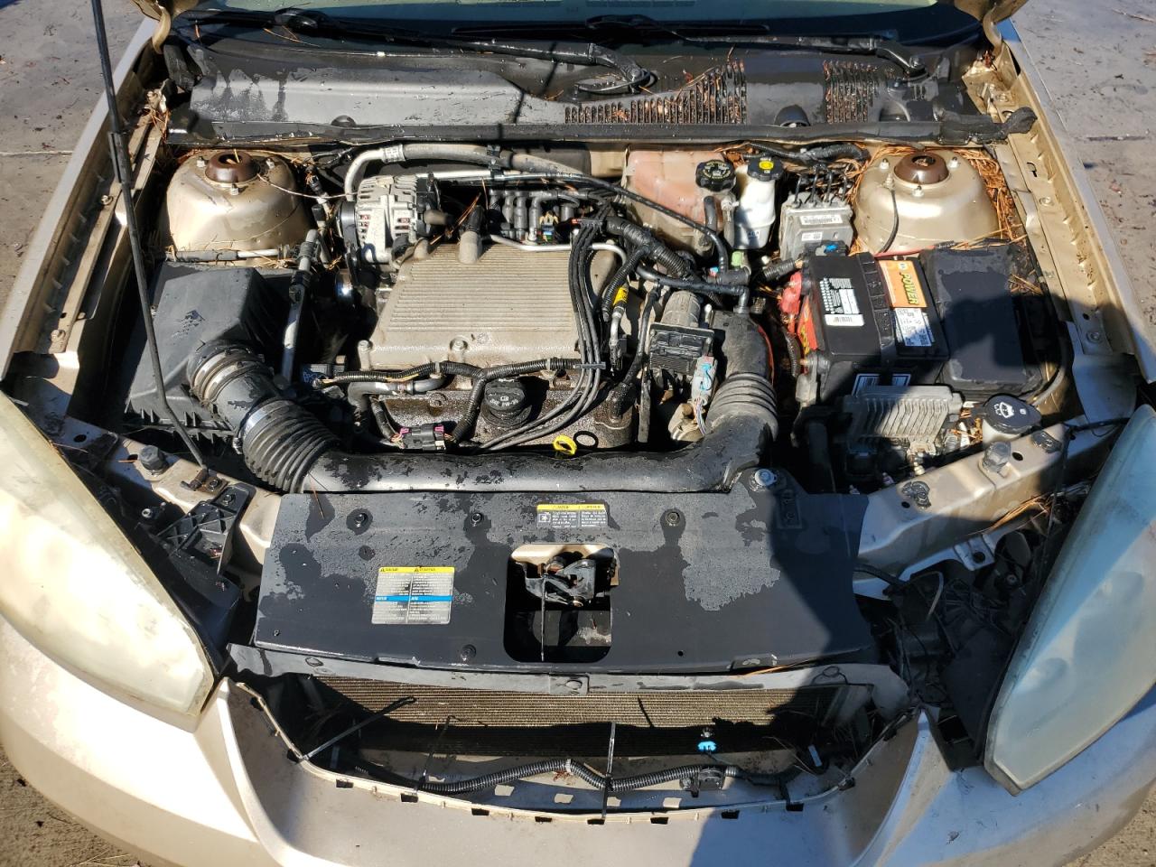 2006 Chevrolet Malibu VIN 1G1ZT61836F104051 Copart auction photo, front end / minor dent/scratches damage thumbnail 11