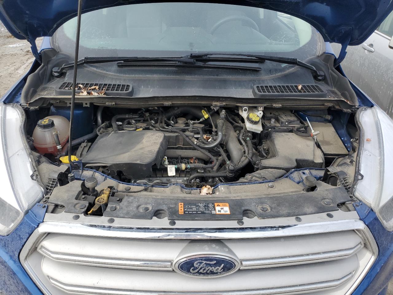 2019 Ford Escape VIN 1FMCU0GD4KUC57566 Copart auction photo, rear end / side damage thumbnail 12