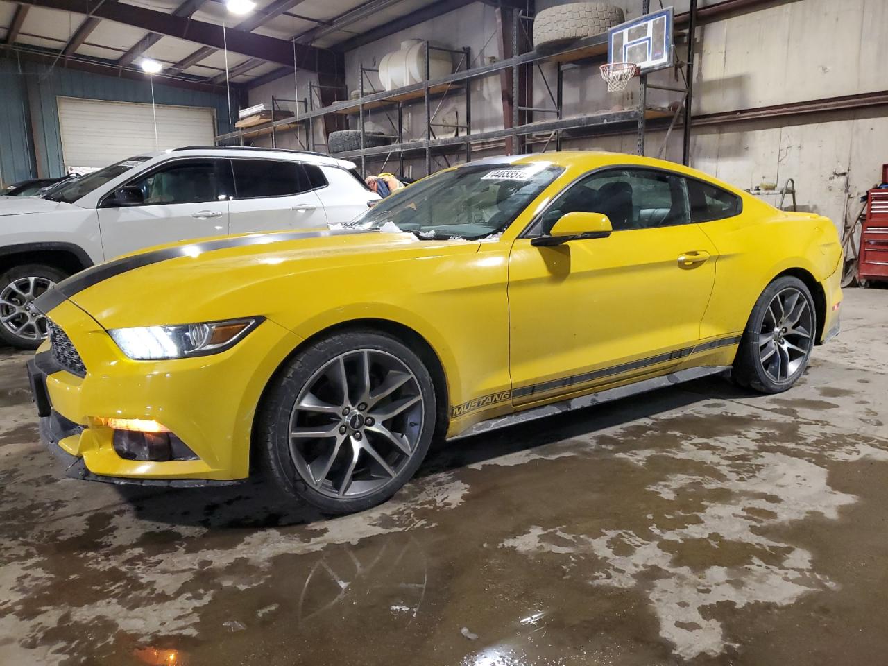 2017 Ford Mustang VIN 1FA6P8TH9H5271553