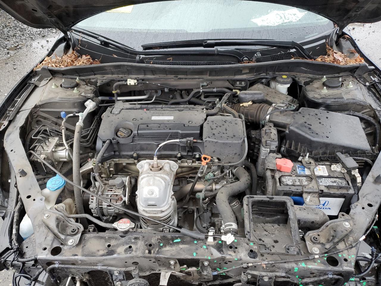2016 Honda Accord VIN 1HGCR2F31GA187237 Copart auction photo, front end damage thumbnail 13