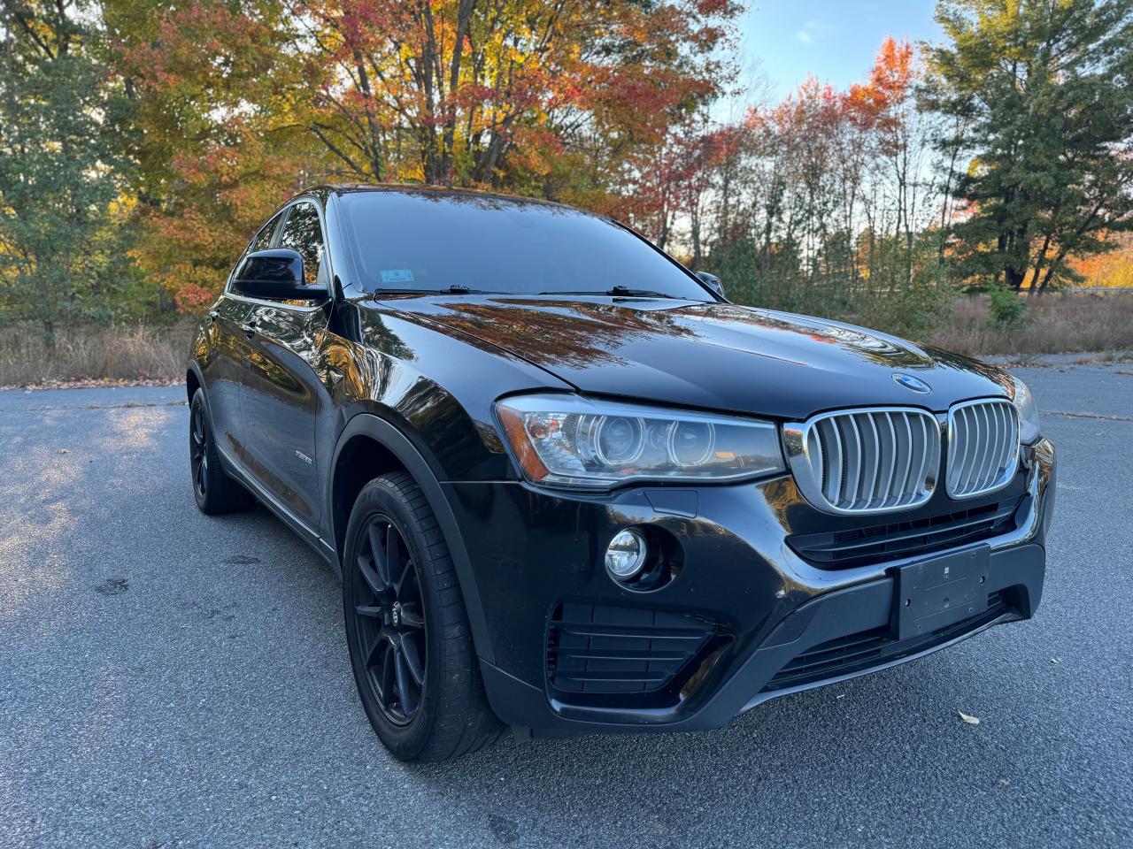 2015 BMW X4 VIN 5UXXW3C56F0M86780