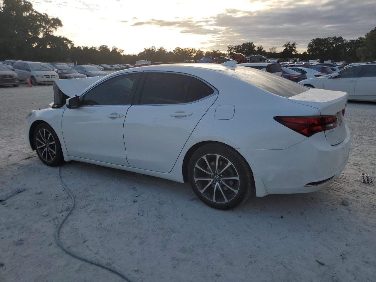 2017 Acura TLX VIN 19UUB2F34HA000907 Copart auction photo, front end / minor dent/scratches damage thumbnail 2