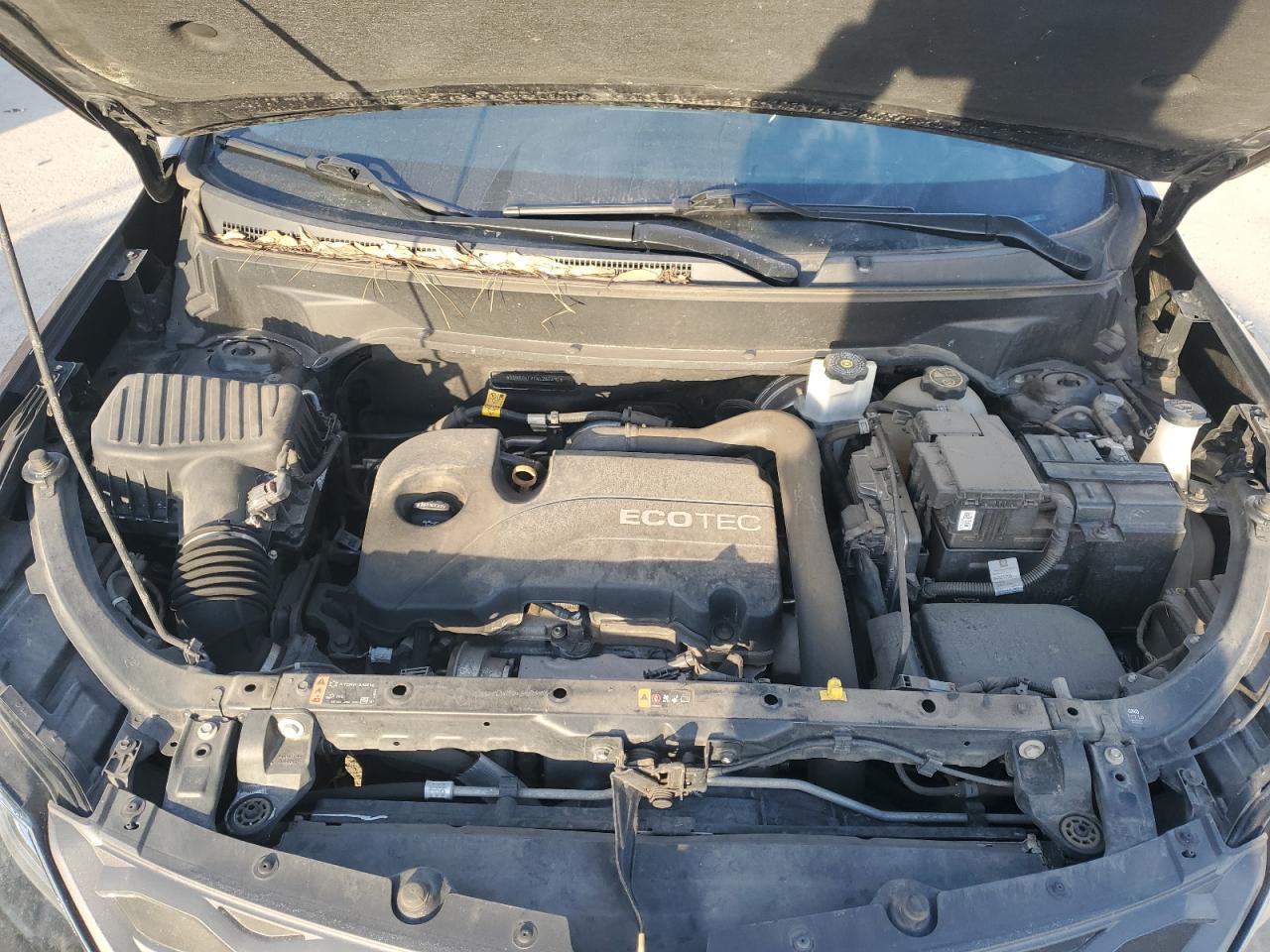 2019 Chevrolet Equinox VIN 3GNAXKEV1KL260890 Copart auction photo, rear end / front end damage thumbnail 13