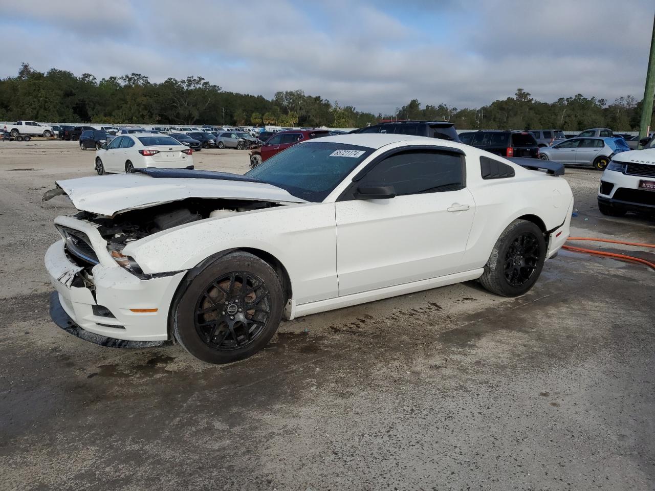 2013 Ford Mustang VIN 1ZVBP8AM5D5229087