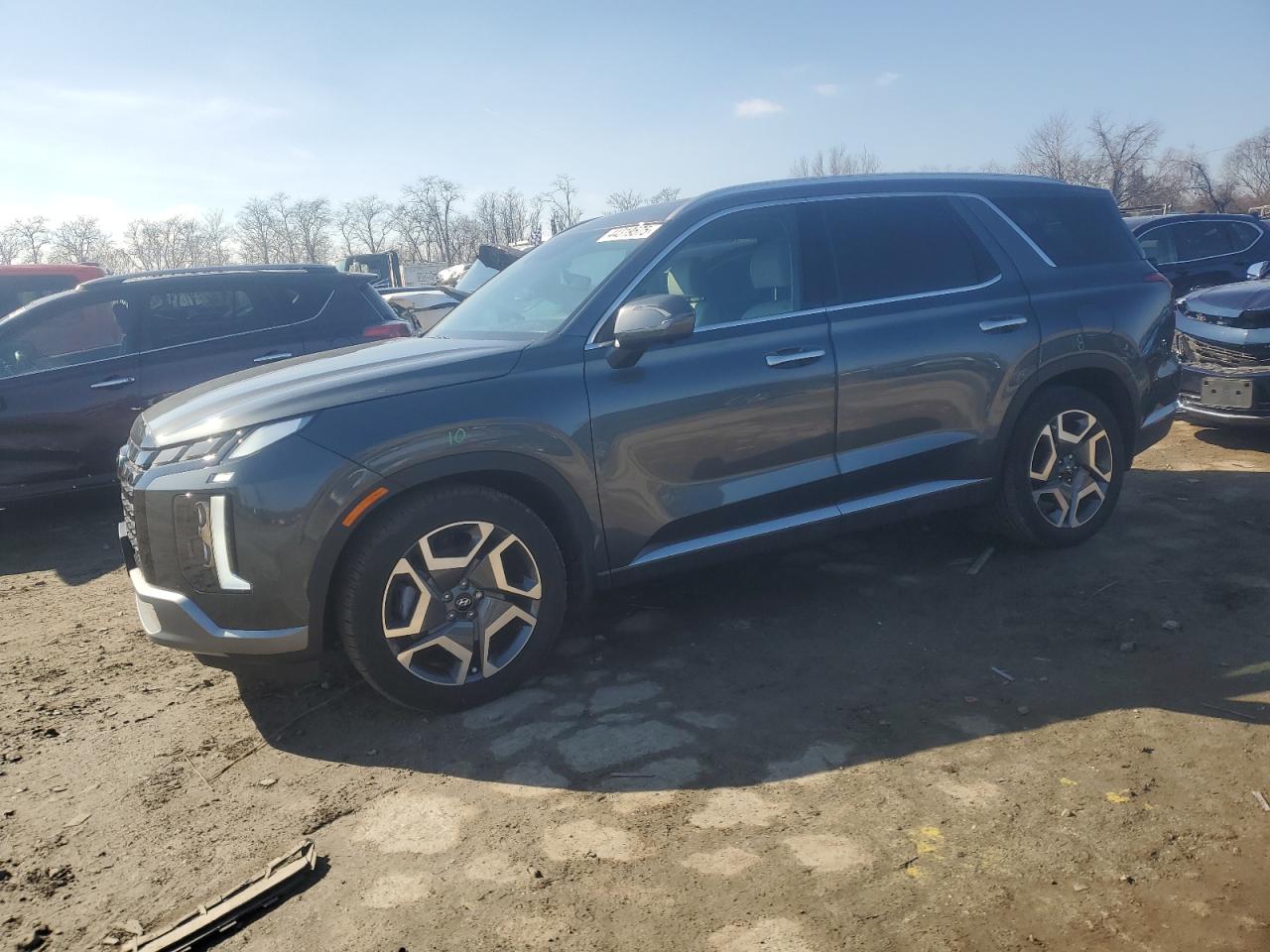 2024 Hyundai Palisade VIN KM8R4DGE3RU669191