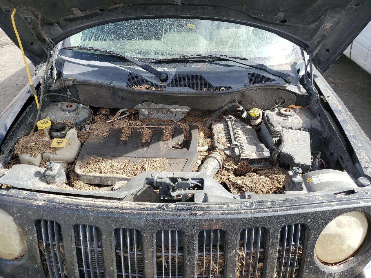 2010 Jeep Liberty (Patriot) VIN 1J4NT1GB8AD626278 Copart auction photo, water/flood / rear end damage thumbnail 13