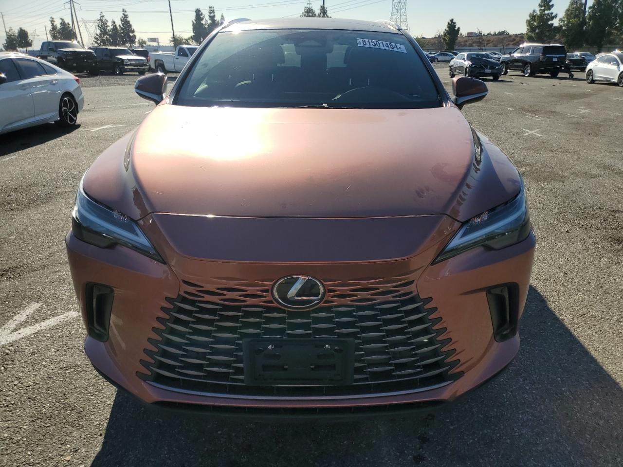 2023 Lexus RX VIN 2T2BBMCA9PC003098 Copart auction photo, side / mechanical damage thumbnail 5