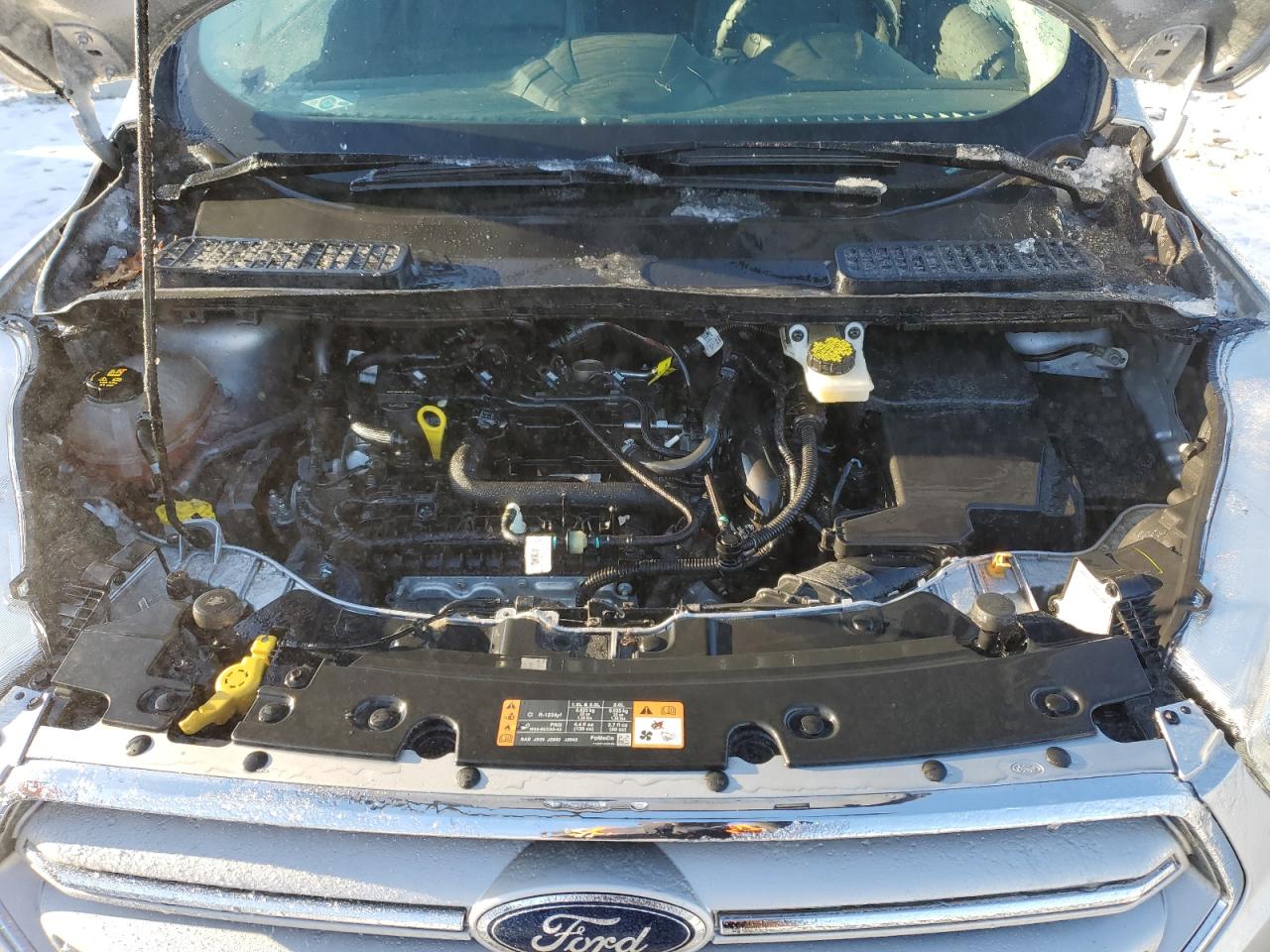 2019 Ford Escape VIN 1FMCU0HD3KUA15589 Copart auction photo, rear end / side damage thumbnail 12