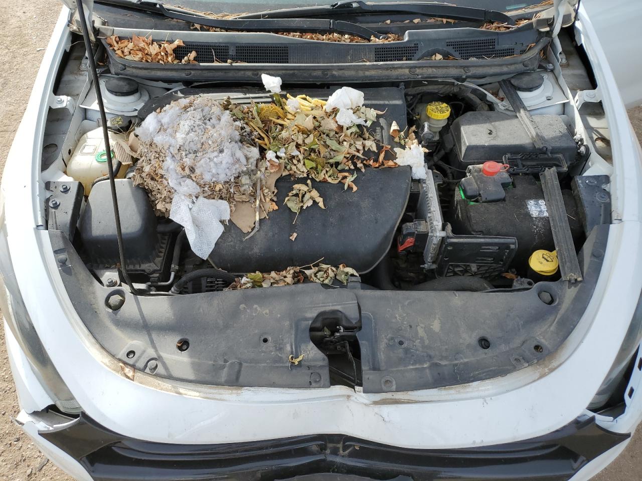 2016 Dodge Dart VIN 1C3CDFAA6GD668131 Copart auction photo, front end / rear end damage thumbnail 11