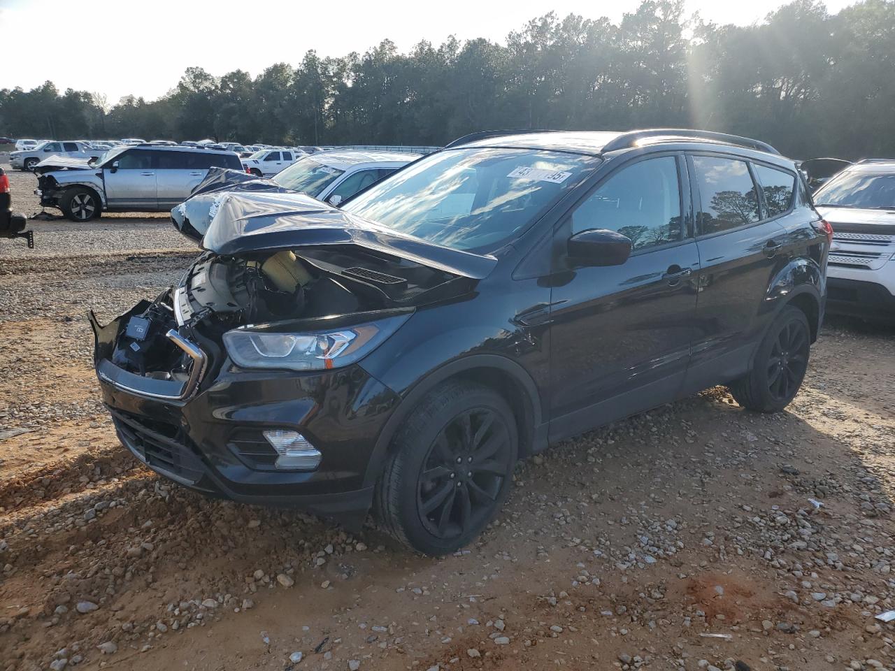 2019 Ford Escape VIN 1FMCU0GD1KUB14137