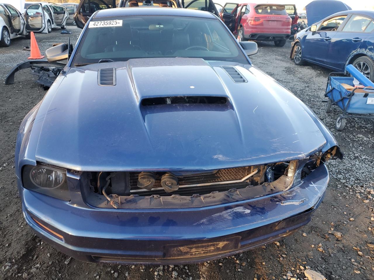 2007 Ford Mustang VIN 1ZVHT80N075331255 Copart auction photo, front end / side damage thumbnail 5