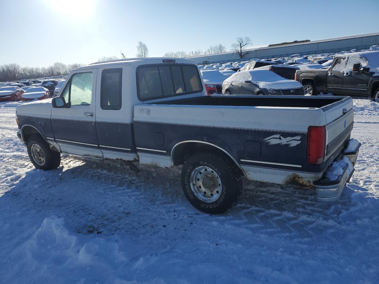 1995 Ford F-150 VIN 1FTEX14HXSKA48426 Copart auction photo, normal wear / minor dent/scratches damage thumbnail 2
