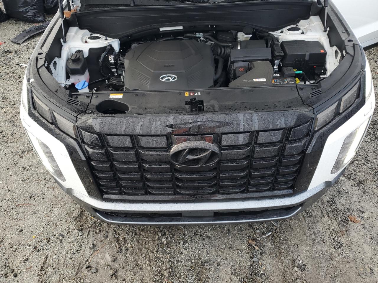 2024 Hyundai Palisade VIN KM8R24GE1RU802049 Copart auction photo, rear end / undercarriage damage thumbnail 12