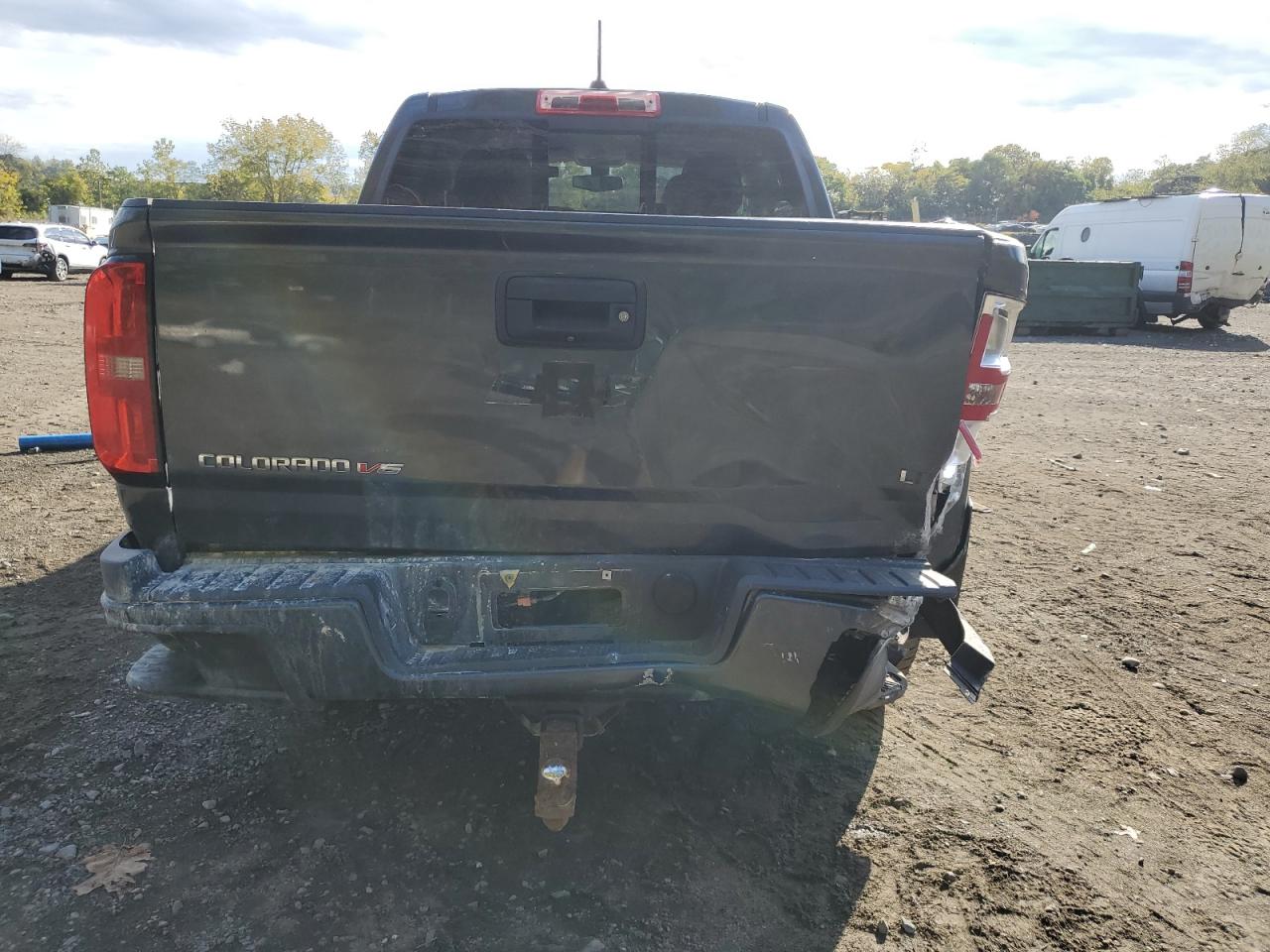 2019 Chevrolet Colorado VIN 1GCGTCEN7K1118166 Copart auction photo, rear end / front end damage thumbnail 6