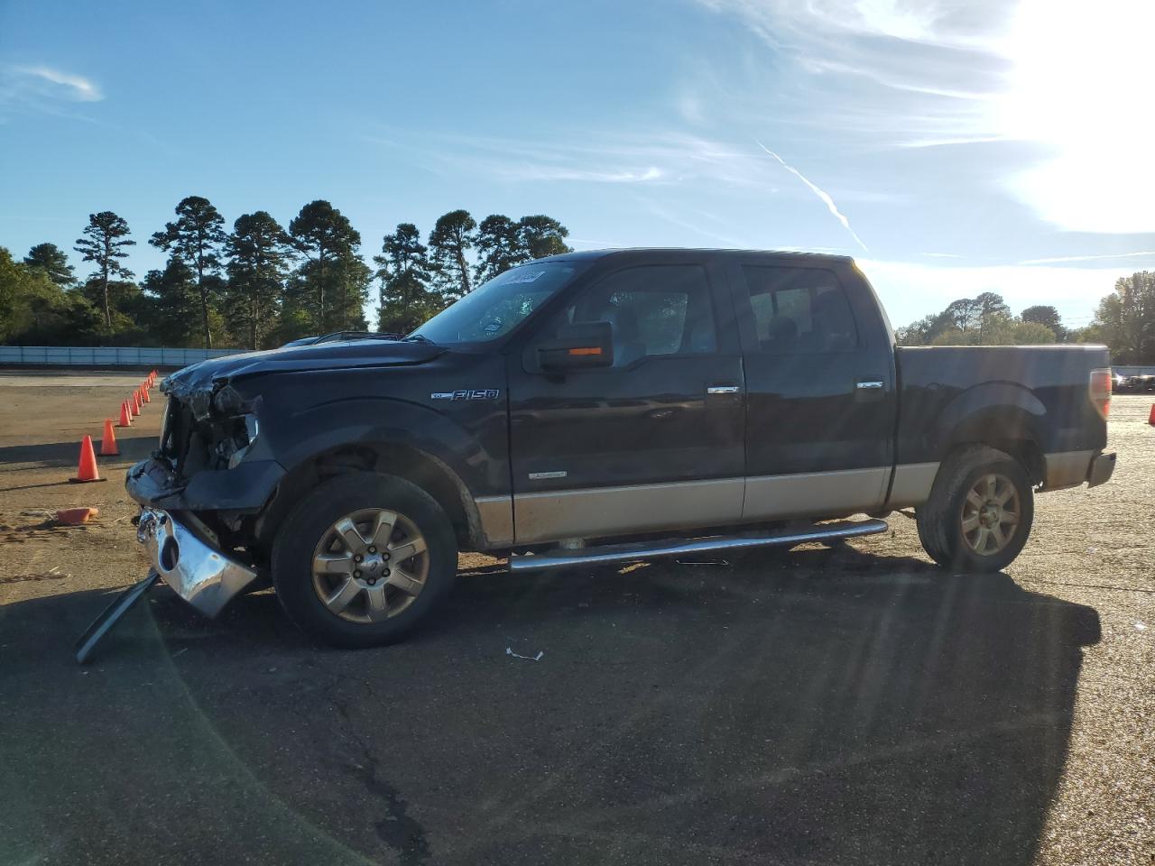 2014 Ford F-150 VIN 1FTFW1CT3EKD24897