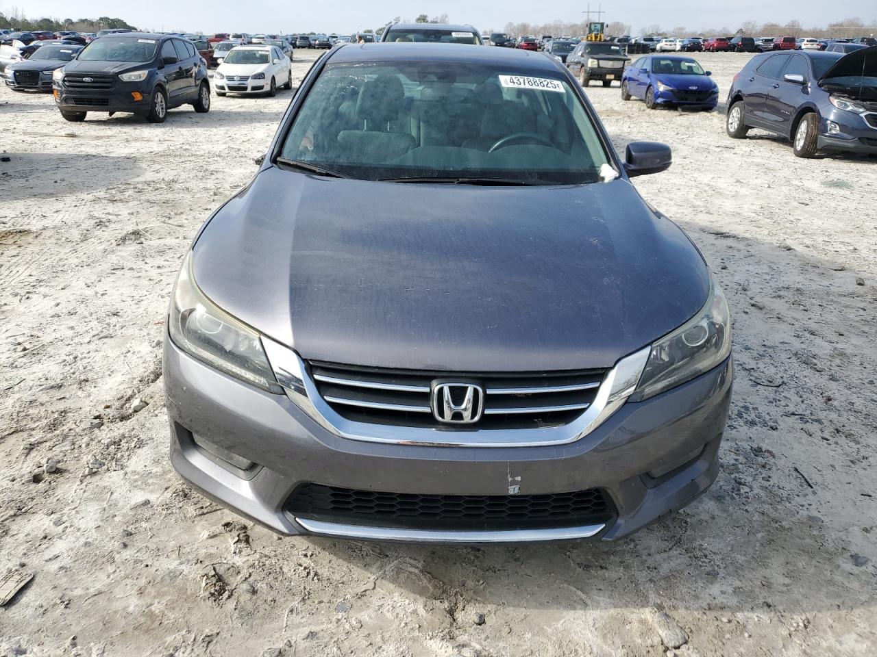 2015 Honda Accord VIN 1HGCR2F84FA181992 Copart auction photo, side / front end damage thumbnail 5