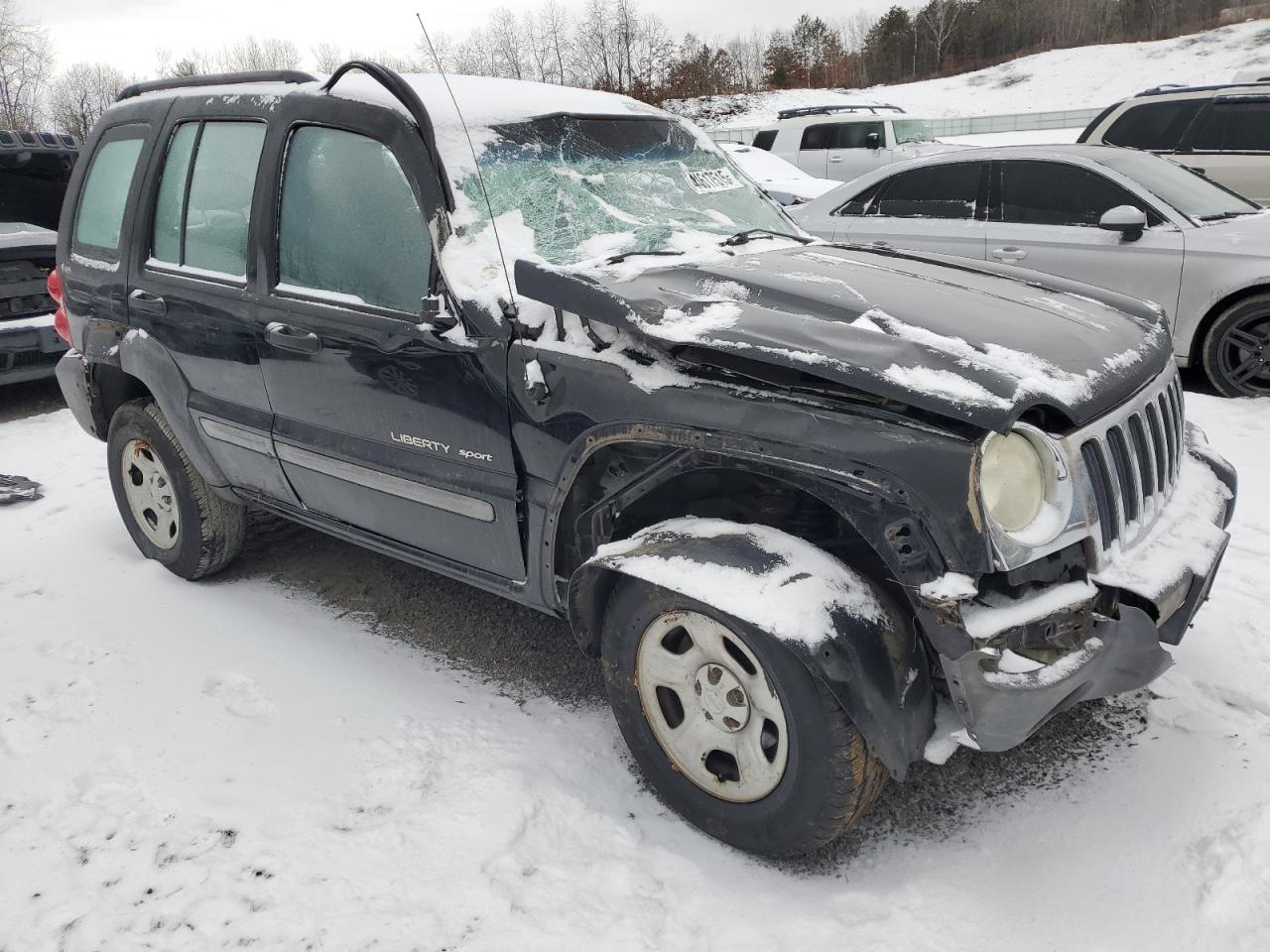 2002 Jeep Liberty (North America) VIN 1J4GL48K92W101972 Copart auction photo, all over damage thumbnail 4