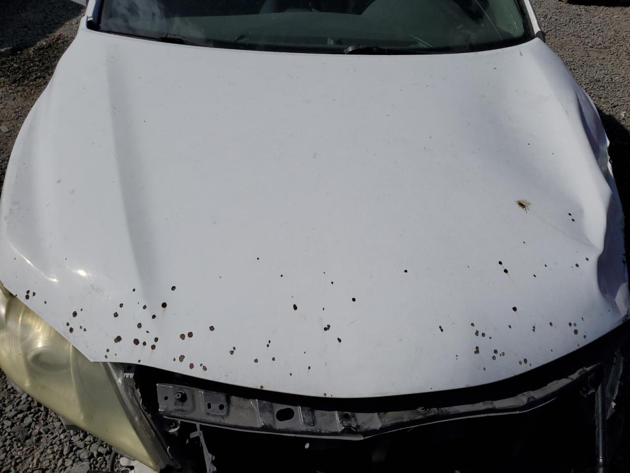 2009 Toyota Camry VIN 4T1BE46K09U810658 Copart auction photo, front end / side damage thumbnail 13