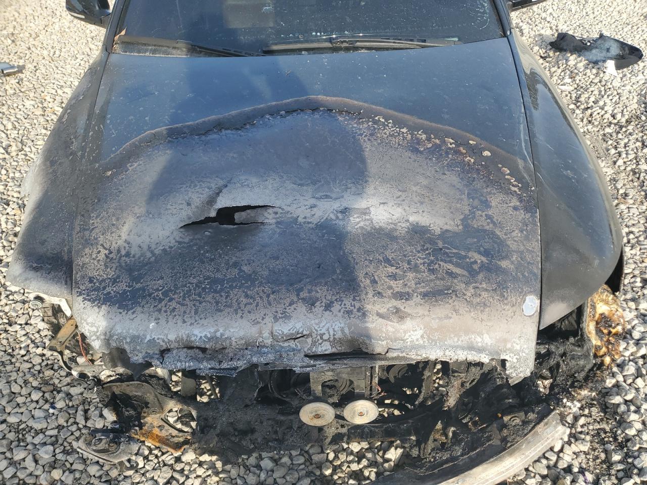 2009 Audi A6 VIN WAUSG74F49N021989 Copart auction photo, front end damage thumbnail 13