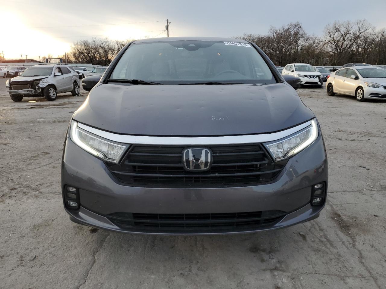 2022 Honda Odyssey VIN 5FNRL6H54NB002974 Copart auction photo, hail / minor dent/scratches damage thumbnail 5