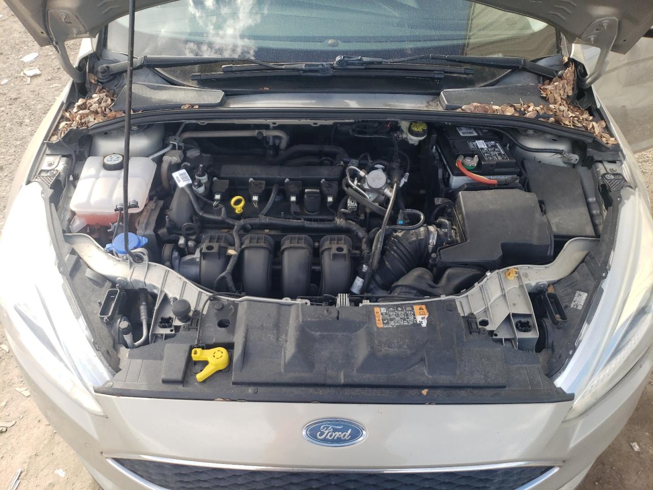 2016 Ford Focus VIN 1FADP3F27GL379388 Copart auction photo, side / minor dent/scratches damage thumbnail 11
