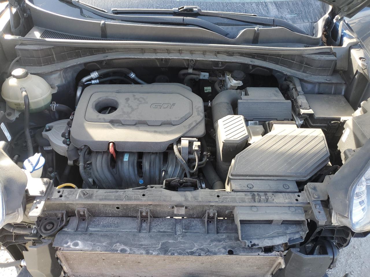 2021 KIA Sportage VIN KNDPM3AC9M7855631 Copart auction photo, front end / minor dent/scratches damage thumbnail 12