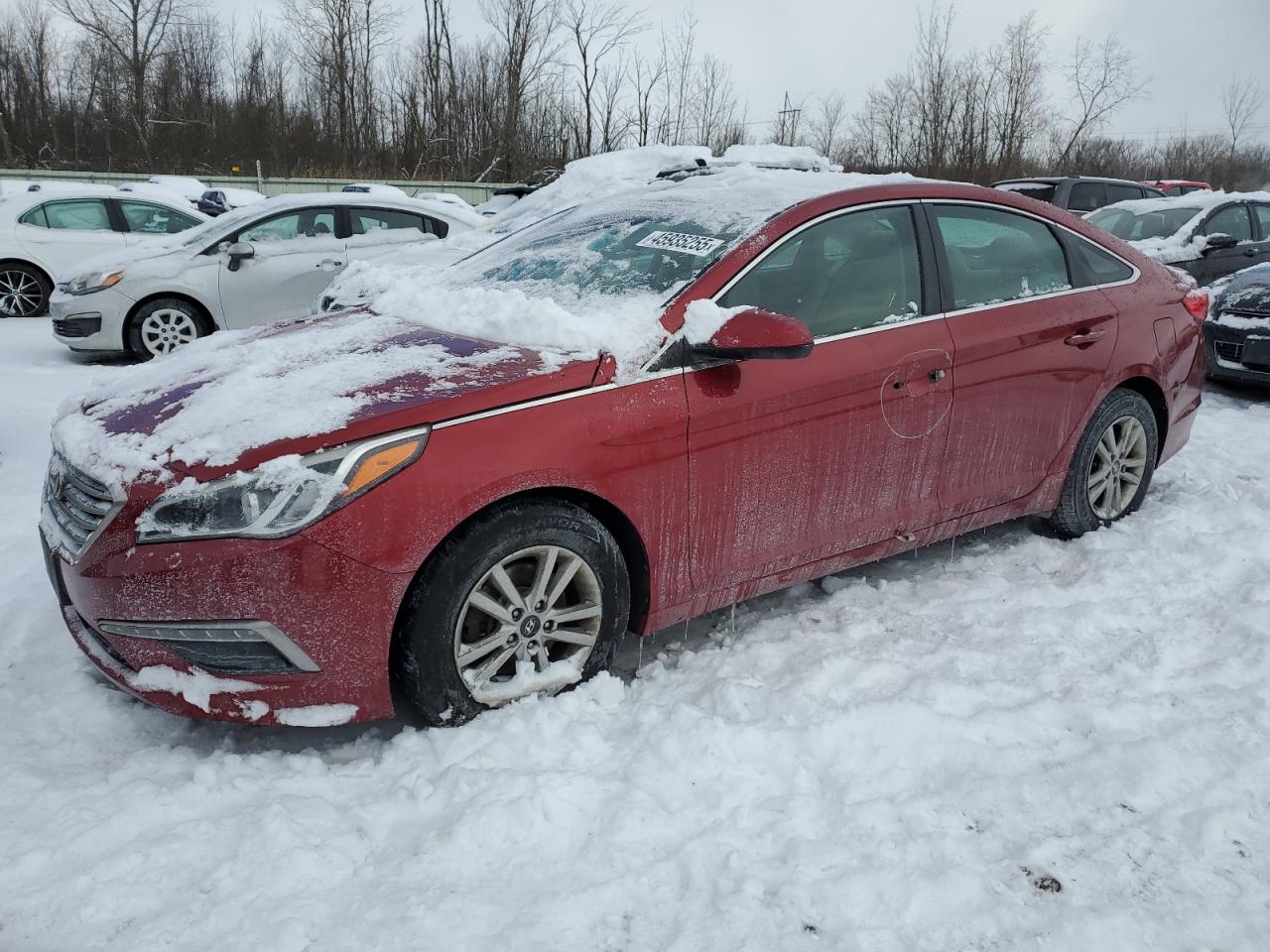 2015 Hyundai Sonata VIN 5NPE24AF1FH217840