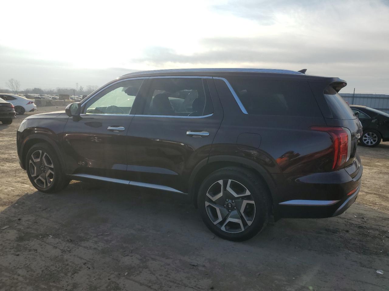 2023 Hyundai Palisade VIN KM8R4DGEXPU545304 Copart auction photo, side / rear end damage thumbnail 2