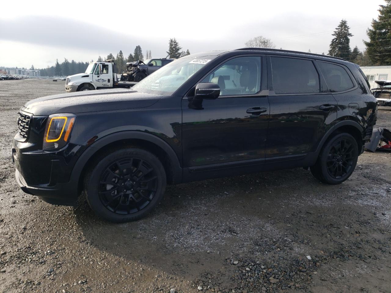 2021 KIA Telluride VIN 5XYP5DHC7MG186299