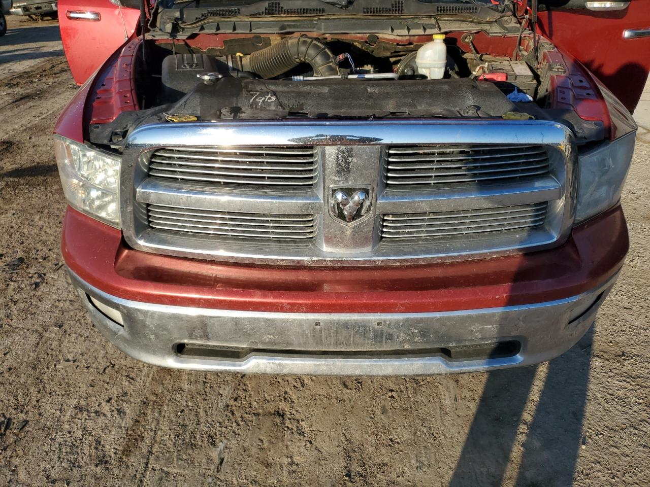 2010 Dodge RAM VIN 1D7RV1CT4AS114437 Copart auction photo, hail damage thumbnail 11
