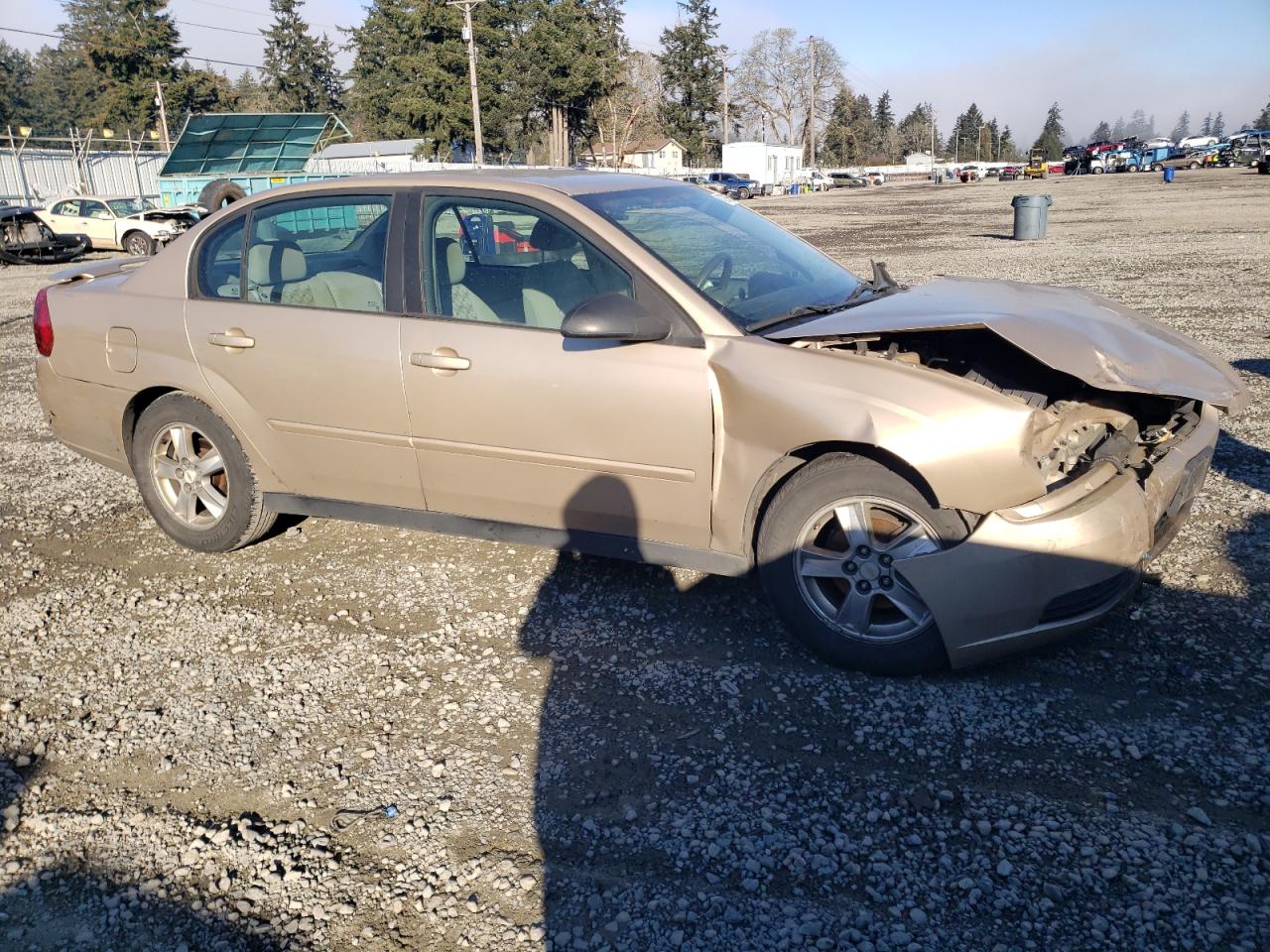 2005 Chevrolet Malibu VIN 1G1ZT54855F193691 Copart auction photo, front end damage thumbnail 4