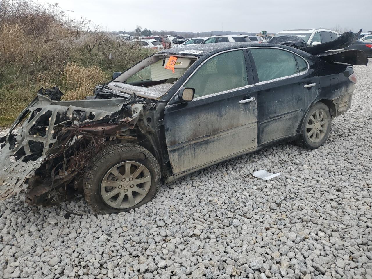 2004 Lexus ES VIN JTHBA30G845017219