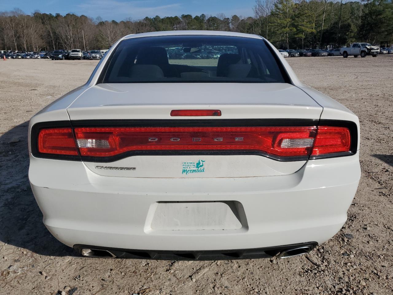 2013 Dodge Charger VIN 2C3CDXBG5DH522018 Copart auction photo, front end damage thumbnail 6