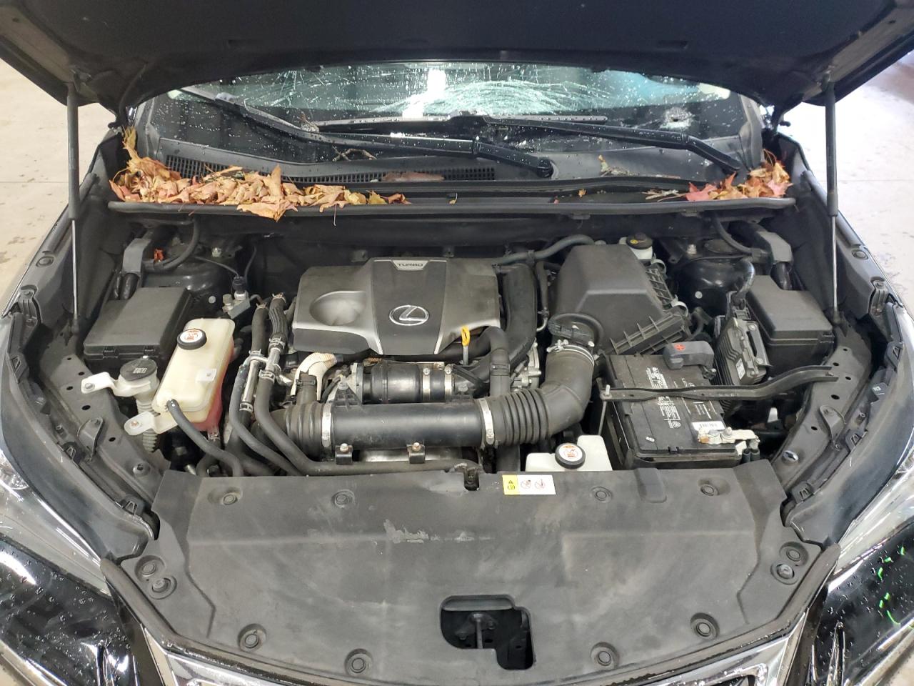 2016 Lexus NX VIN JTJBARBZ0G2088291 Copart auction photo, water/flood / top/roof damage thumbnail 12