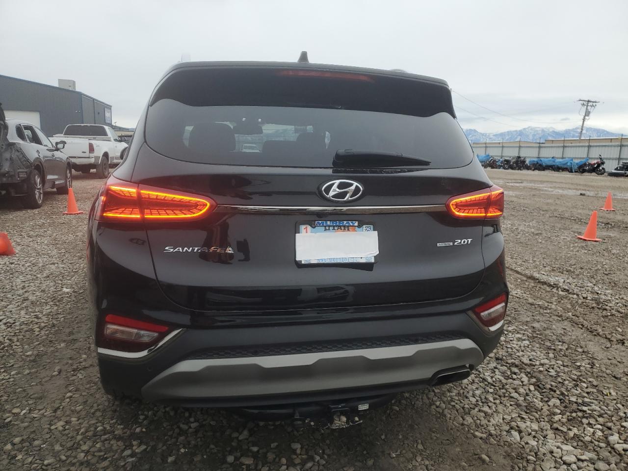 2020 Hyundai Santa Fe VIN 5NMS5CAA8LH304586 Copart auction photo, side damage thumbnail 6