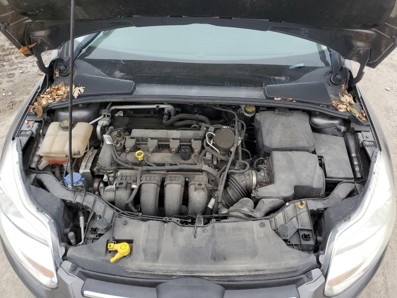 2014 Ford Focus VIN 1FADP3F22EL393955 Copart auction photo, rear end / side damage thumbnail 12