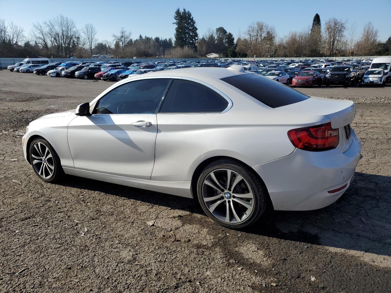 2016 BMW 2er VIN WBA1F9C59GV545896 Copart auction photo, front end / rear end damage thumbnail 2