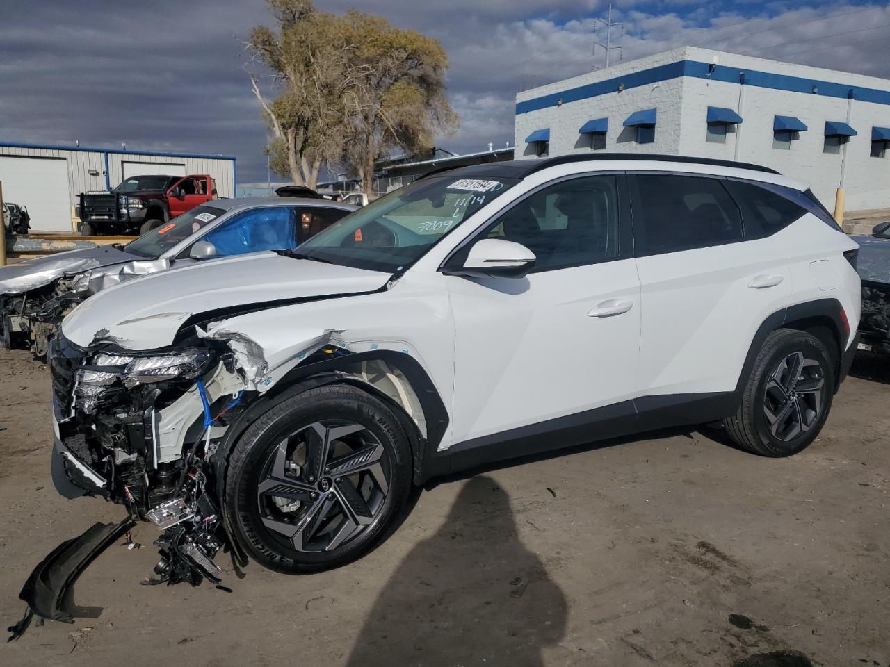 2024 Hyundai Tucson VIN KM8JCCD17RU207809