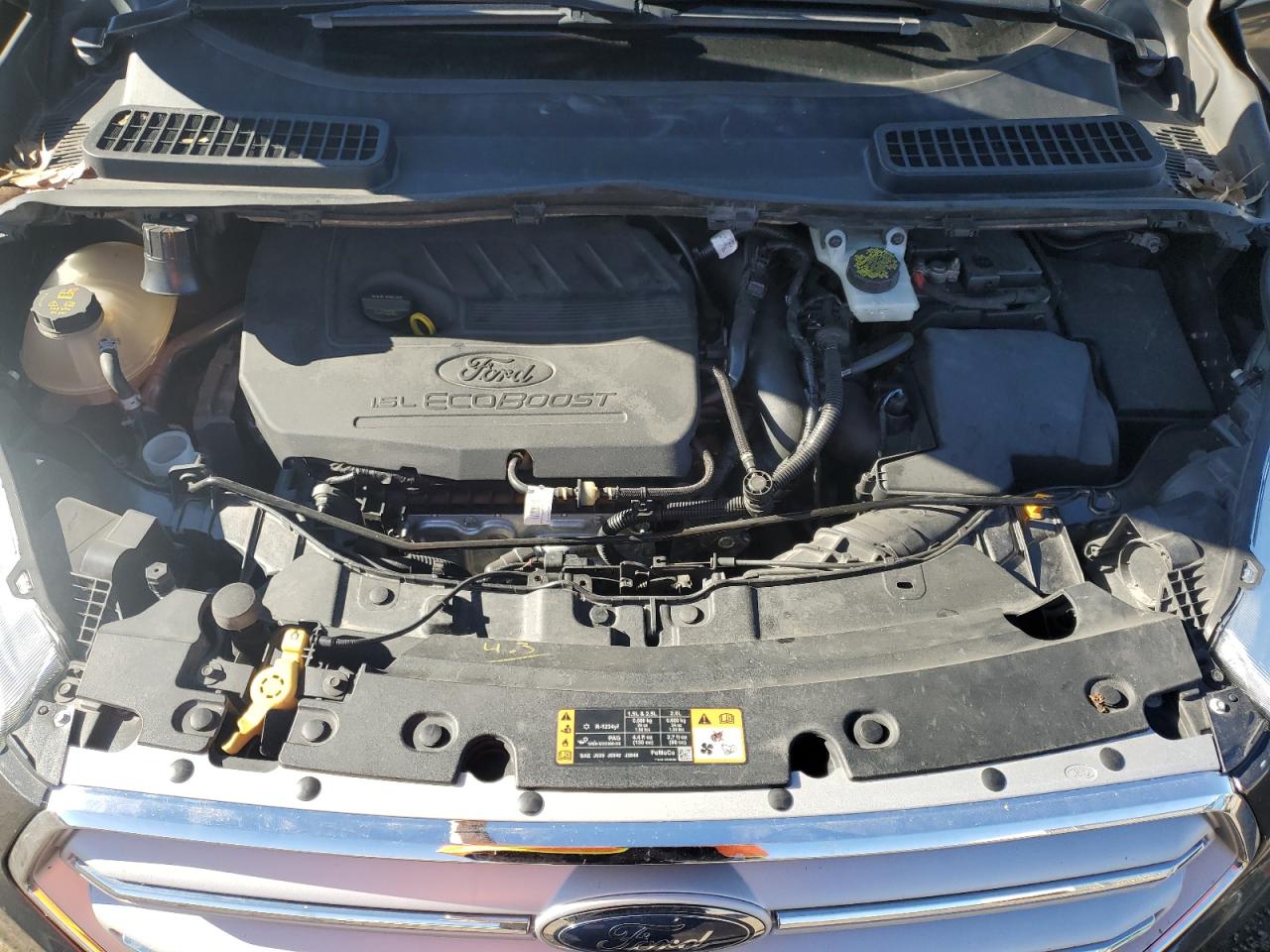 2018 Ford Escape VIN 1FMCU0GD8JUB12447 Copart auction photo, side damage thumbnail 12