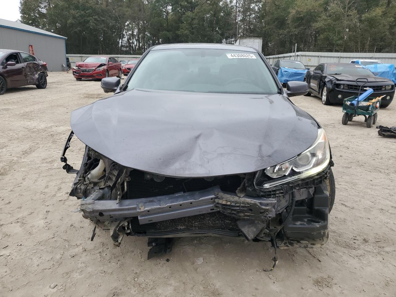 2016 Honda Accord VIN 1HGCR2F86GA219093 Copart auction photo, front end damage thumbnail 5