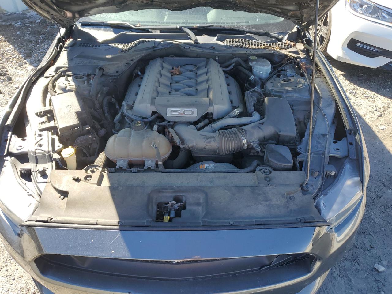 2016 Ford Mustang VIN 1FA6P8CF7G5282631 Copart auction photo, all over damage thumbnail 11