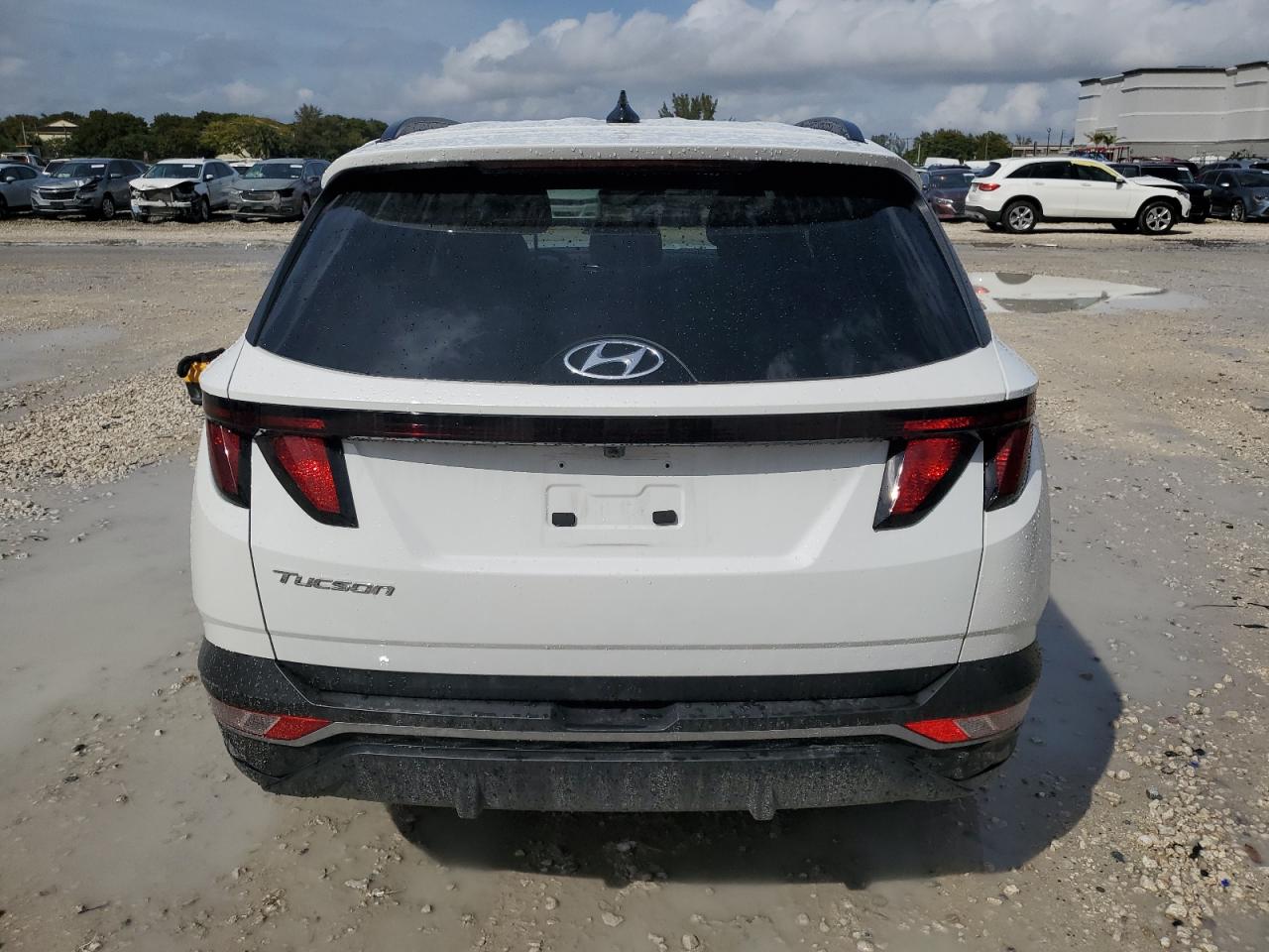 2024 Hyundai Tucson VIN 5NMJB3DE2RH428476 Copart auction photo, front end damage thumbnail 6