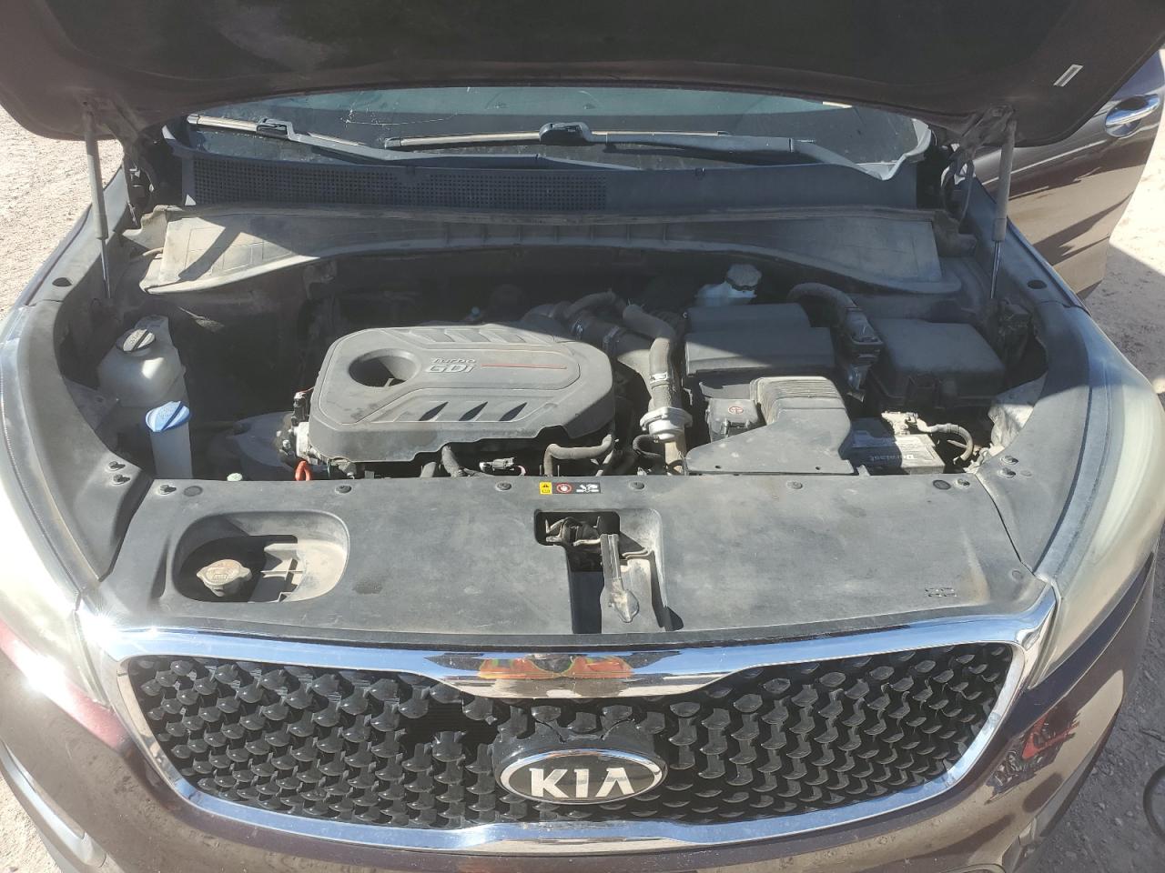 2016 KIA Sorento VIN 5XYPH4A18GG025724 Copart auction photo, hail damage thumbnail 12