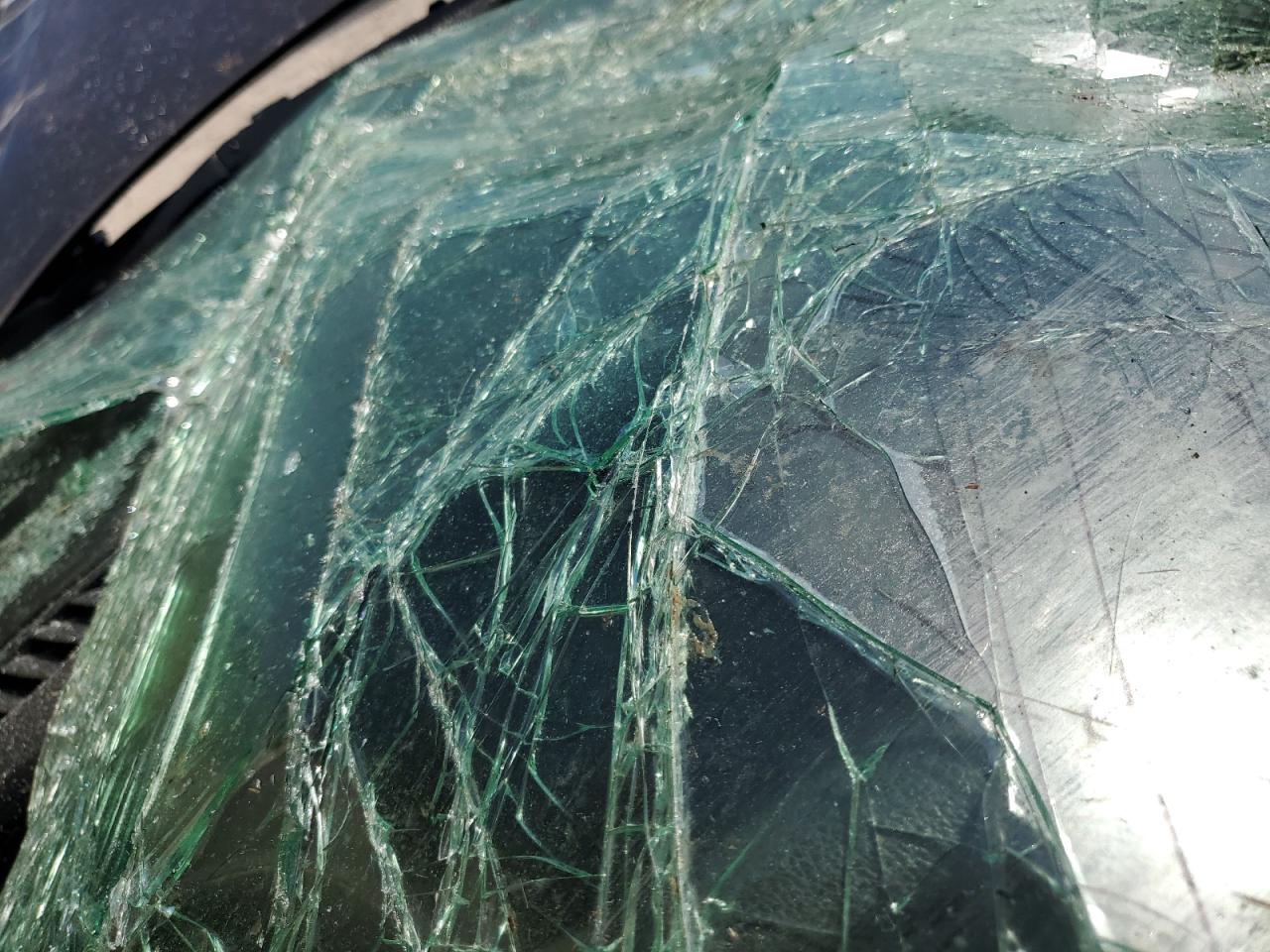 2016 Hyundai Sonata VIN 5NPE24AFXGH272563 Copart auction photo, rollover damage thumbnail 9