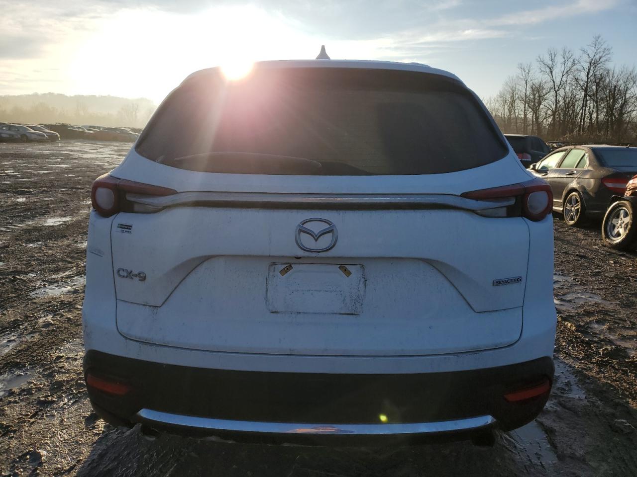 2020 Mazda CX-9 VIN JM3TCADY3L0415139 Copart auction photo, rear end / side damage thumbnail 6