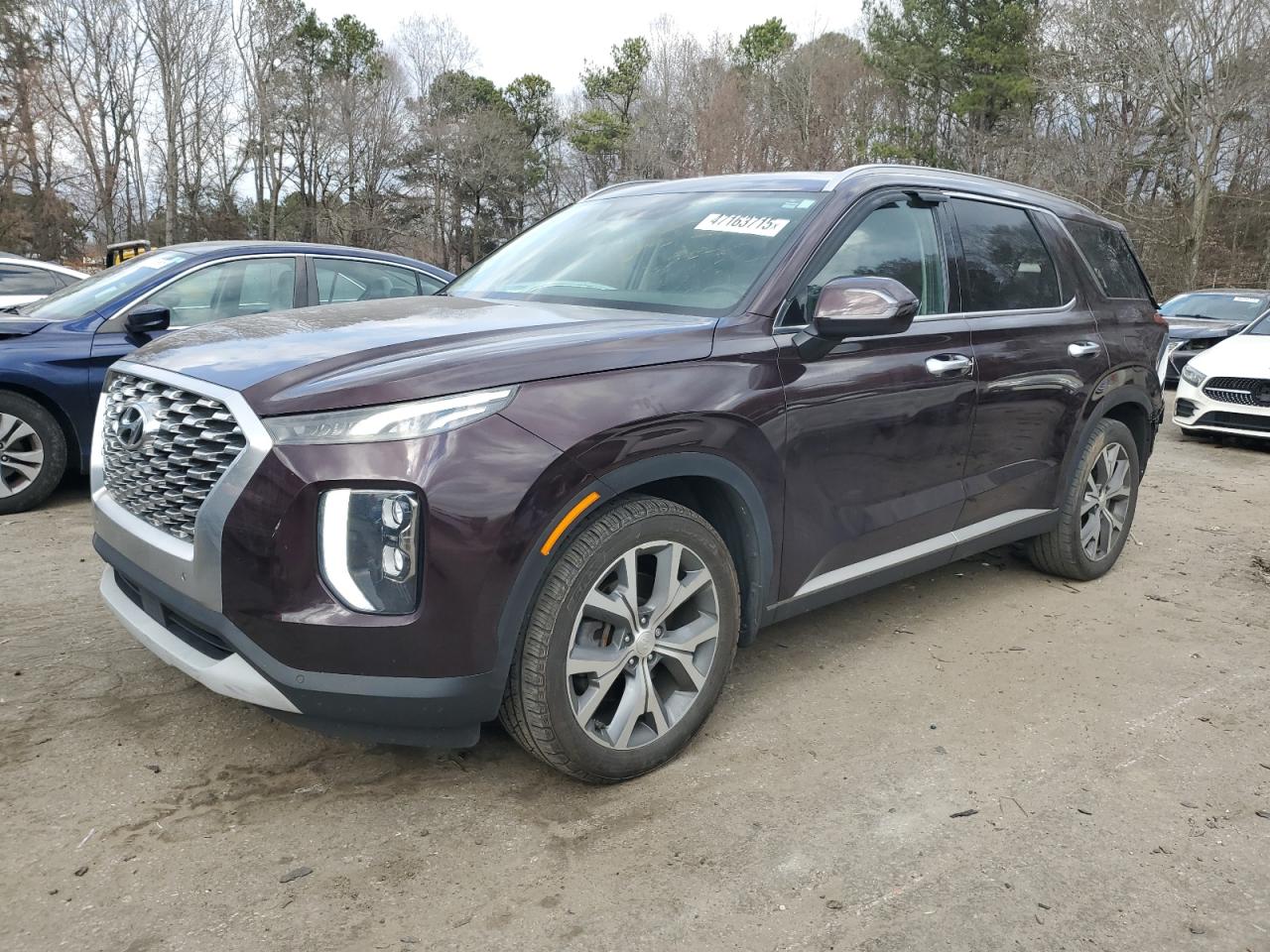 2020 Hyundai Palisade VIN KM8R44HE9LU097887